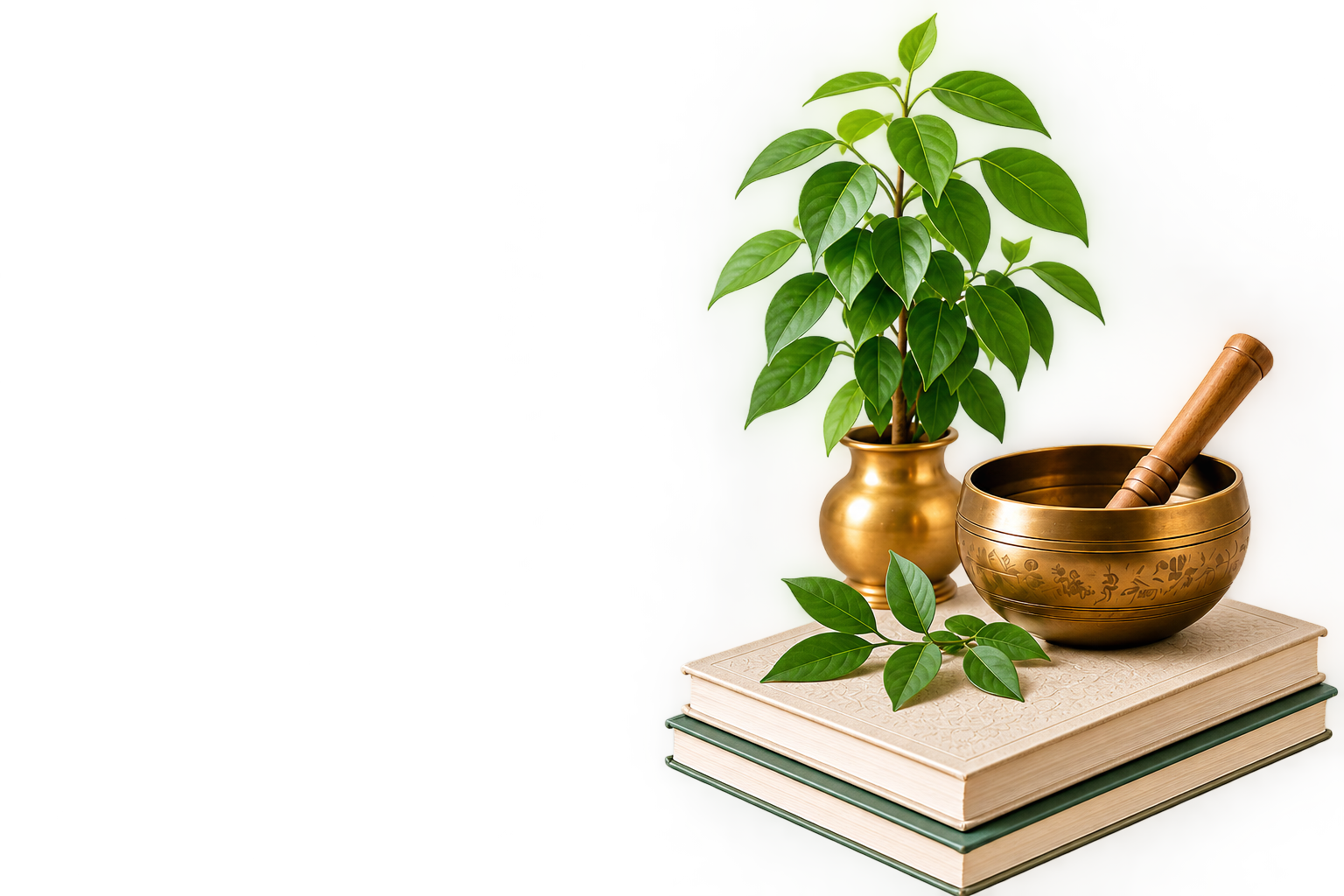 Our Approach — Sacred books, singing bowl and plant